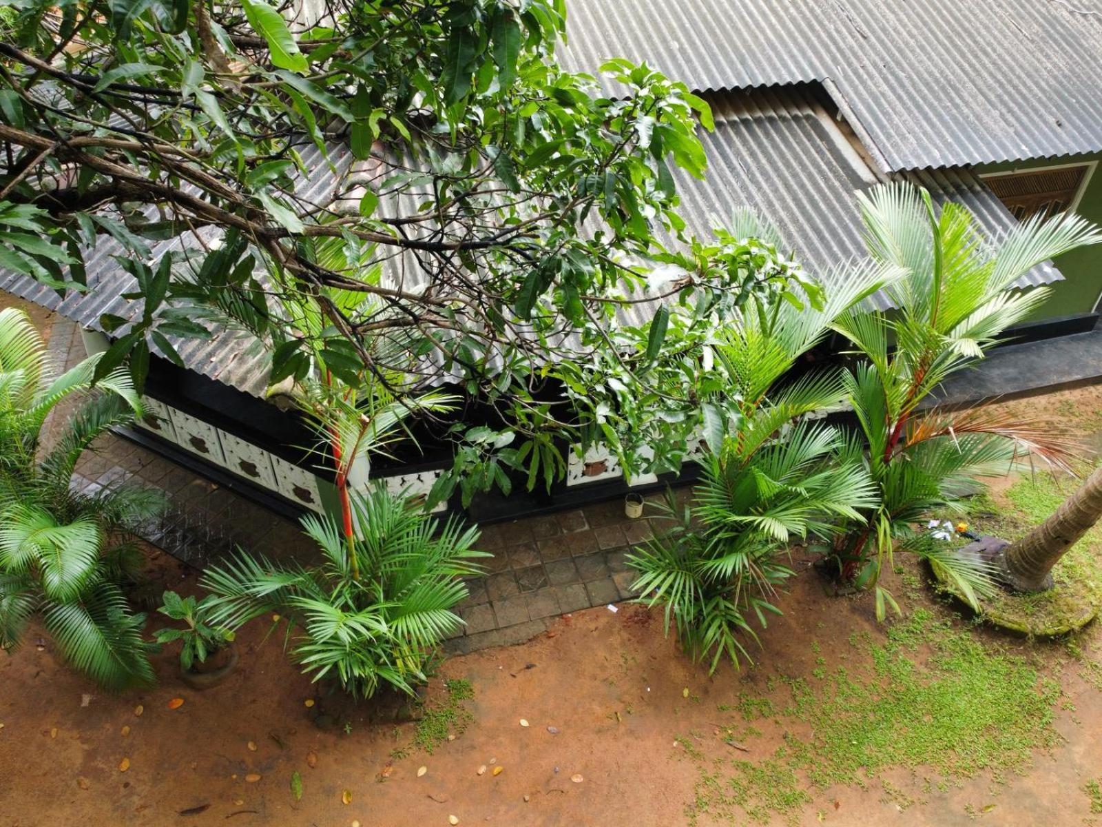 Green Bamboo House Sigiriya Exterior foto