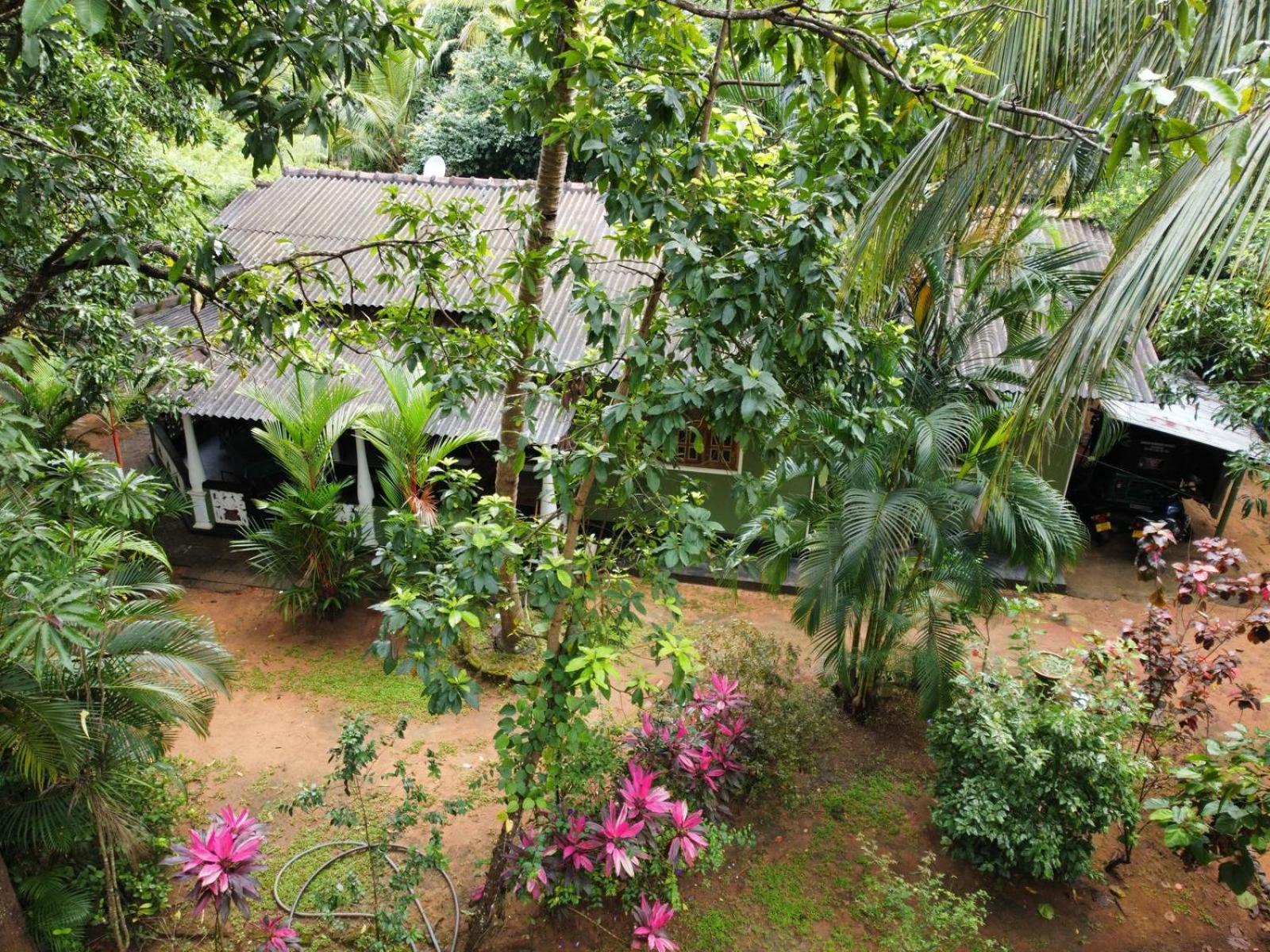 Green Bamboo House Sigiriya Exterior foto